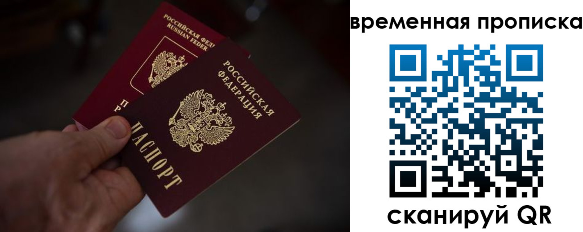 прописка в Высоковске